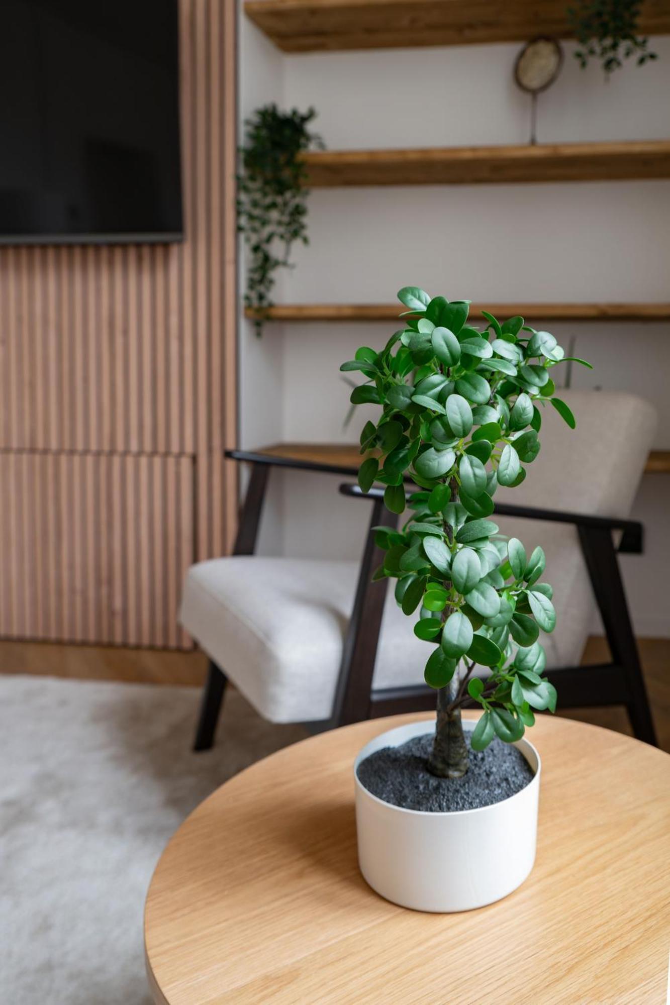 Residence Jaures - Appartements Design Et Climatises En Centre Ville Vichy Zewnętrze zdjęcie